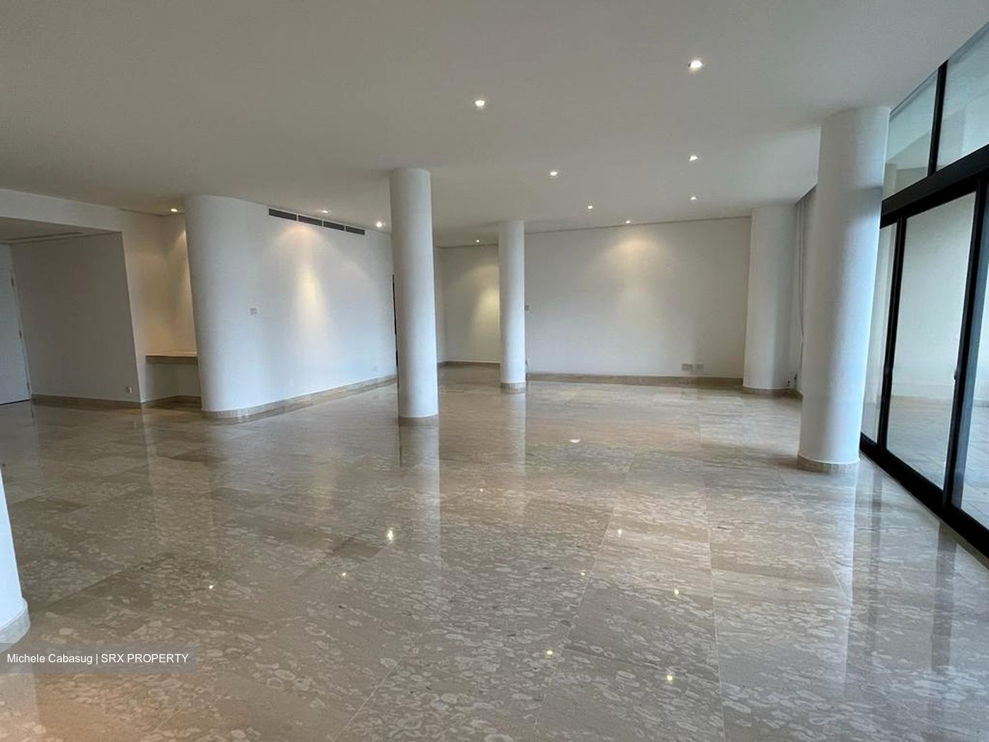 The Colonnade (D10), Condominium #460175461